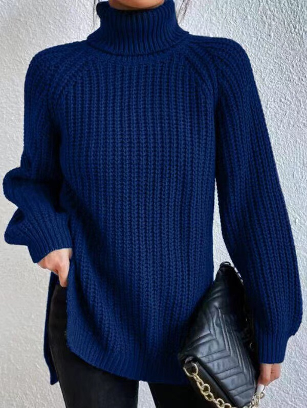 Nora Soft Knit Turtleneck Sweater