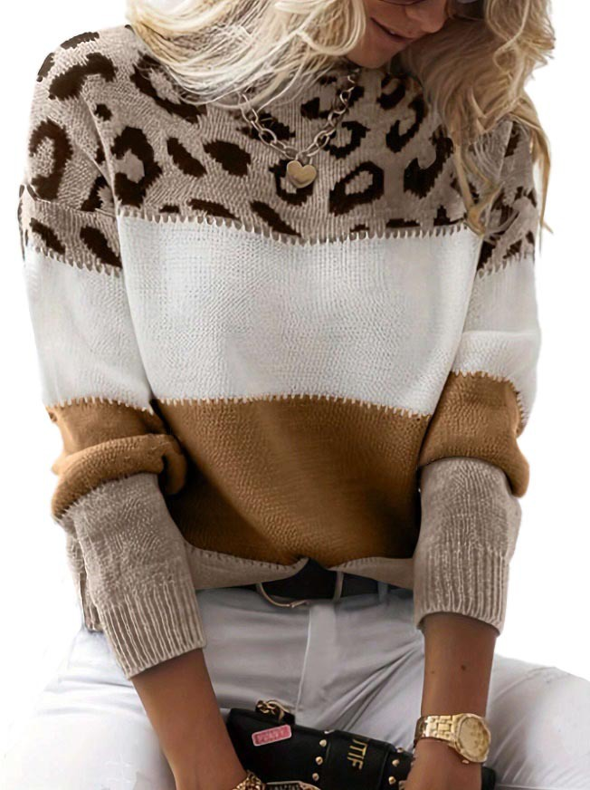 Pamela Leopard Print Casual Jumper